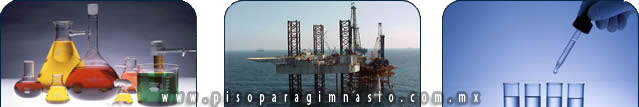 industria quimica y petroquimica